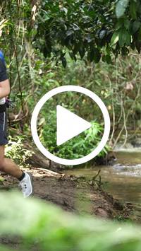 BIB:  <button type="button" onclick="openModal(27590225)" class="btn btn-primary btn-sm float-right" data-toggle="modal" data-target=".modal-high-quality">
                <i class="fa fa-download"></i> Download
                </button>